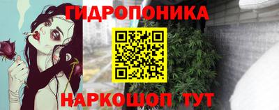 гашик Кинель